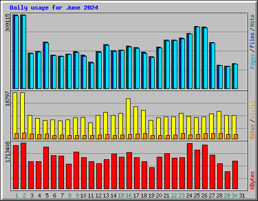 Daily usage for June 2024