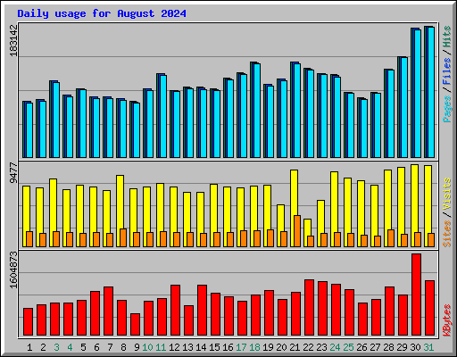 Daily usage for August 2024