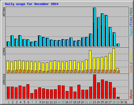 Daily usage for December 2024