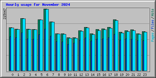 Hourly usage for November 2024