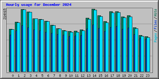 Hourly usage for December 2024