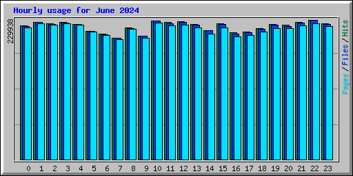 Hourly usage for June 2024