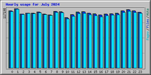 Hourly usage for July 2024