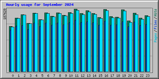 Hourly usage for September 2024