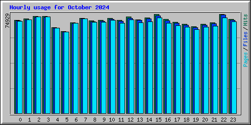 Hourly usage for October 2024