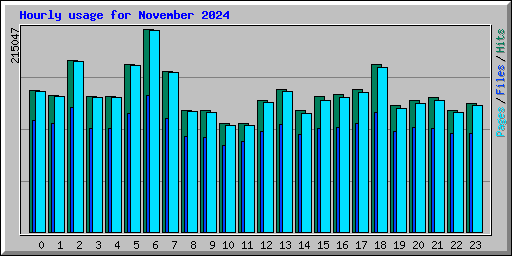 Hourly usage for November 2024