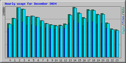 Hourly usage for December 2024